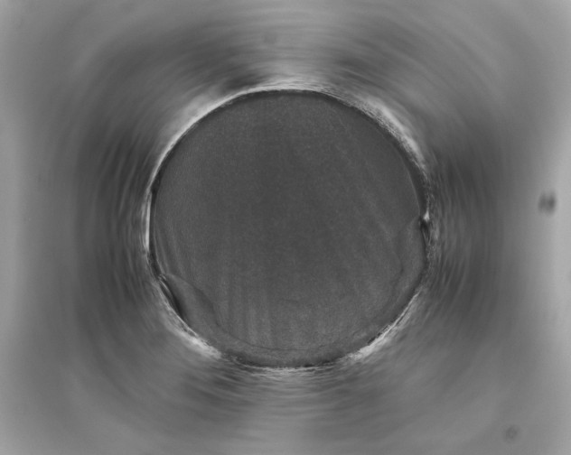 X0000094821276200711301622