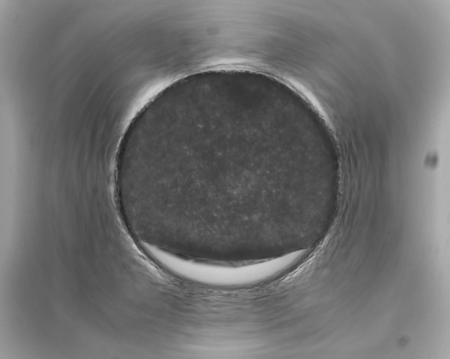 X0000094821277200711301622