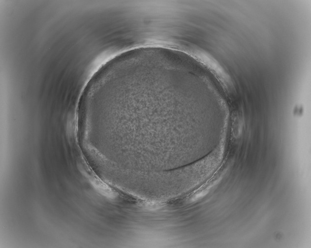 X0000094821280200711301622