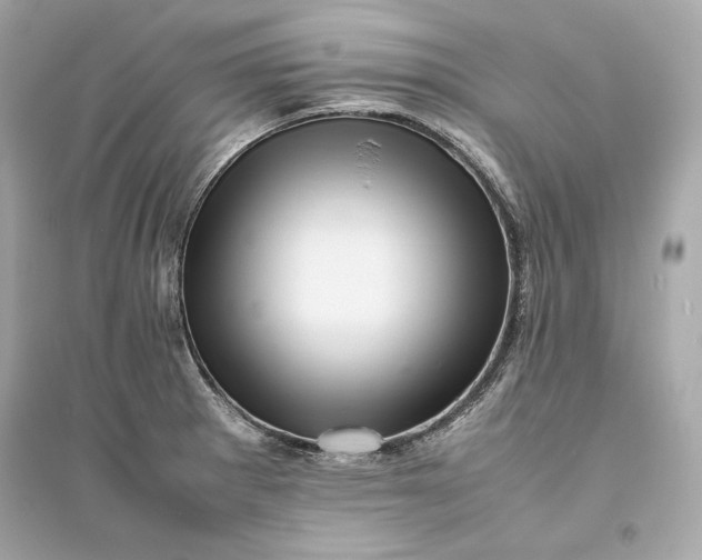 X0000094821281200711301622