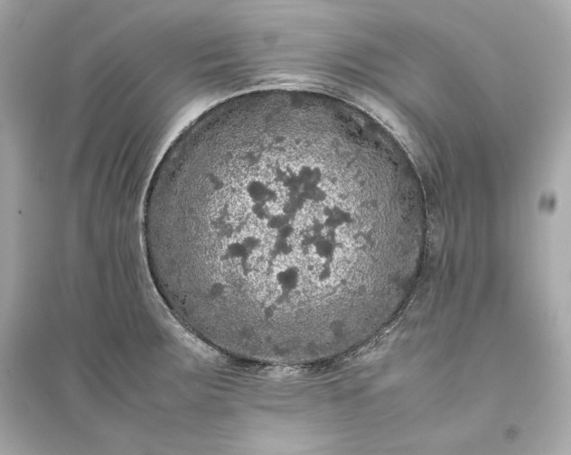 X0000094821283200711301622