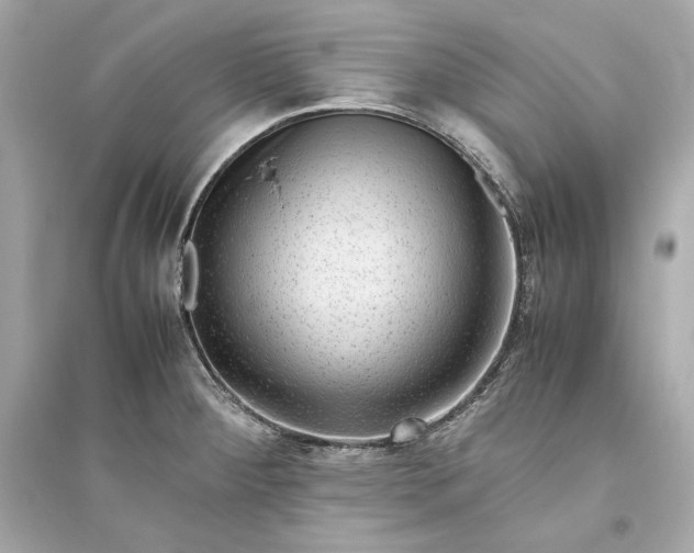 X0000094821284200711301622