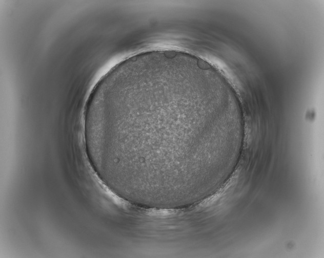 X0000094821286200711301622