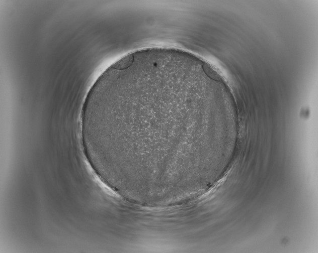 X0000094821287200711301622