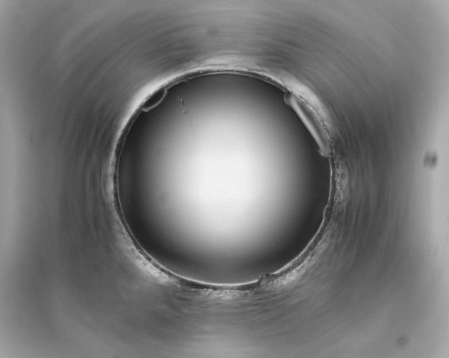 X0000094821288200711301622