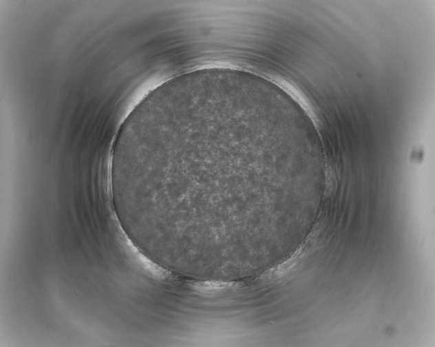 X0000094821290200711301622