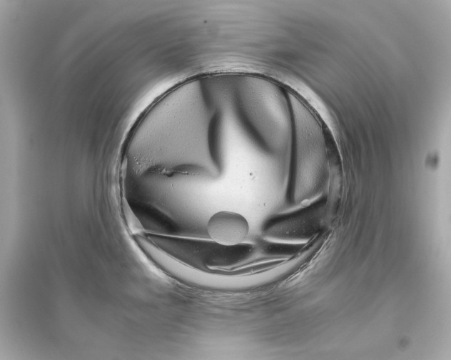 X0000094821293200711301621