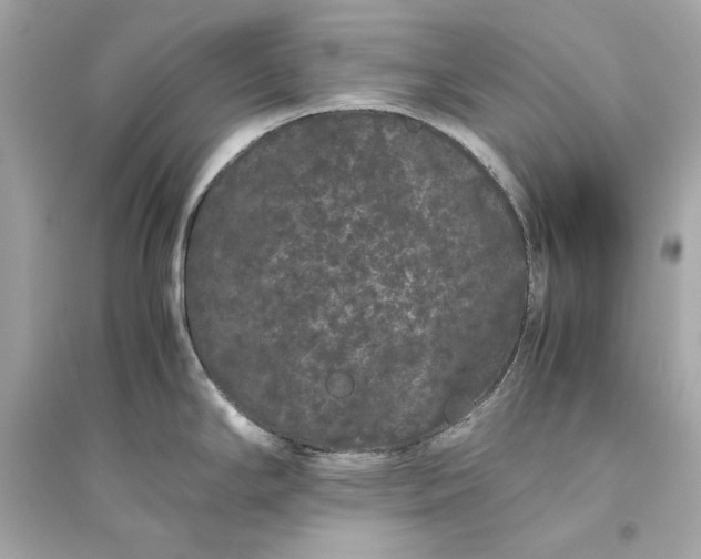 X0000094821294200711301621