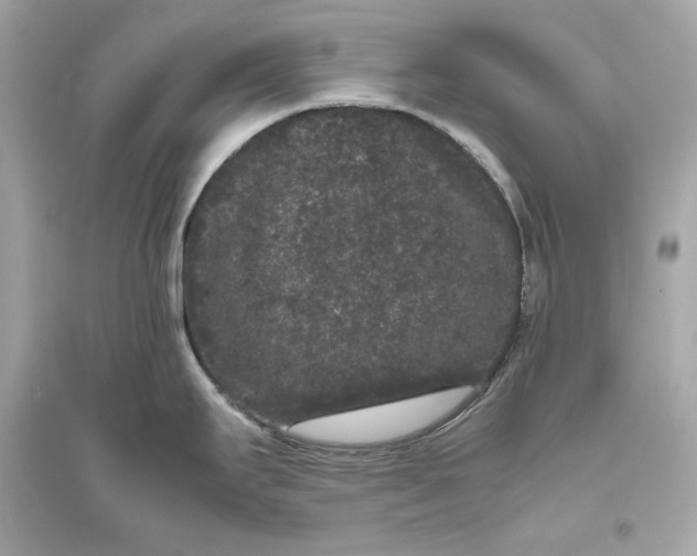 X0000094821295200711301621