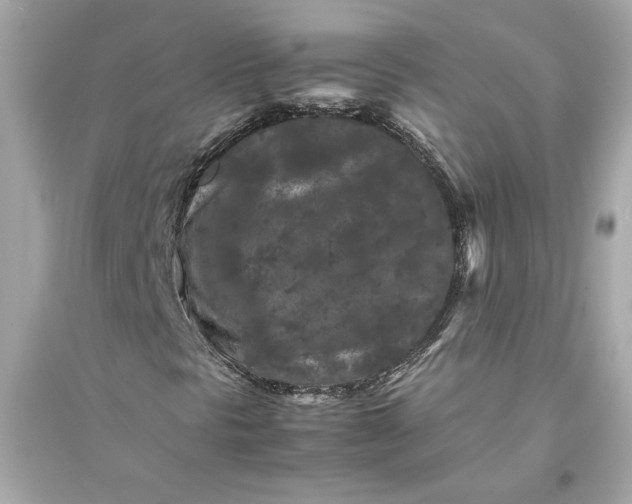 X0000094821297200711301621