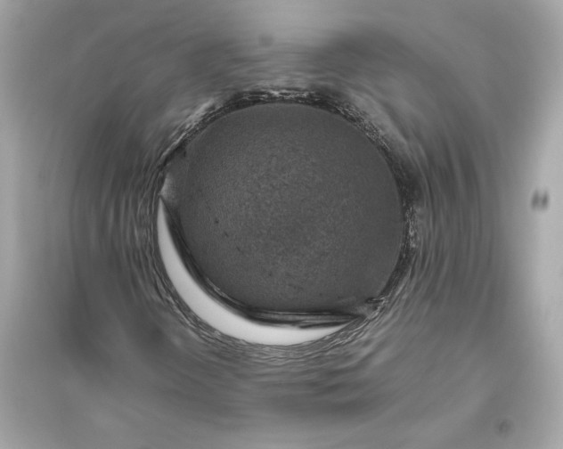 X0000094821298200711301621