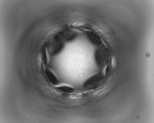 X0000094821299200711301621