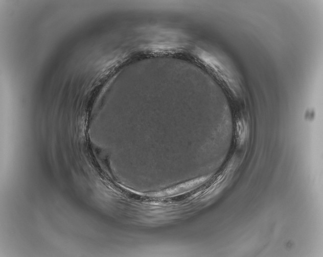 X0000094821300200711301621