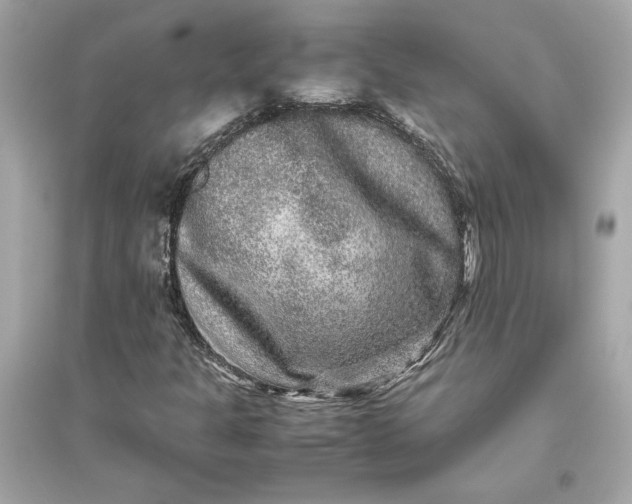 X0000094821301200711301621