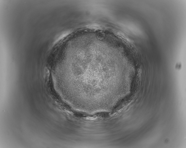 X0000094821302200711301621