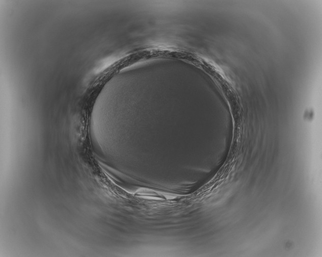 X0000094821303200711301621
