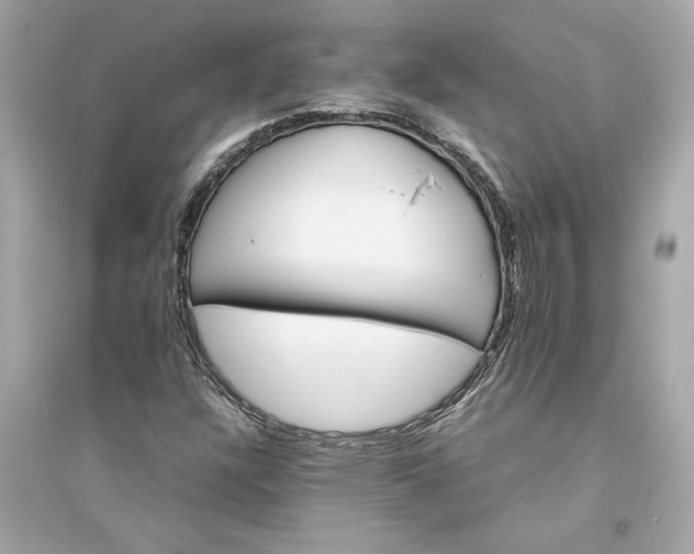 X0000094821304200711301621
