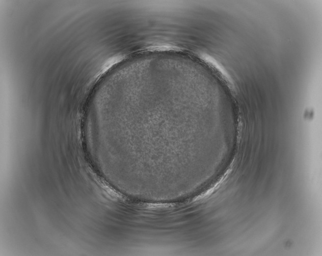 X0000094821305200711301621