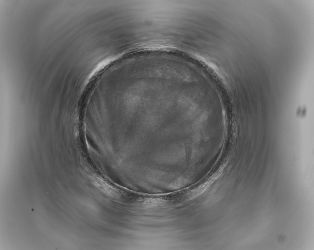X0000094821306200711301621