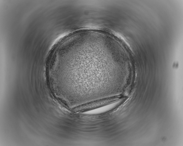 X0000094821307200711301621