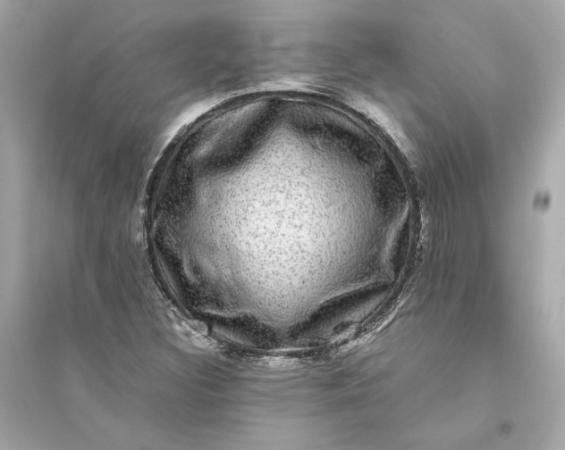 X0000094821308200711301621