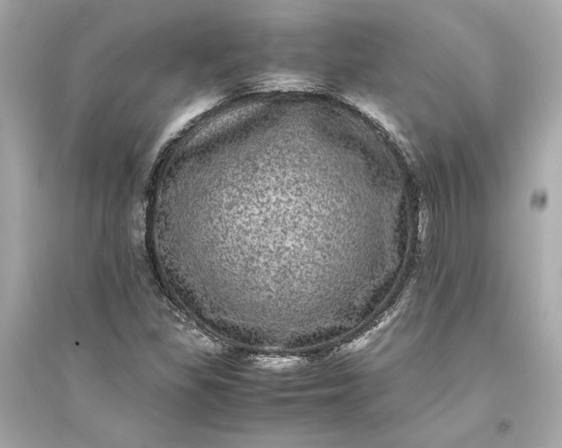 X0000094821309200711301621