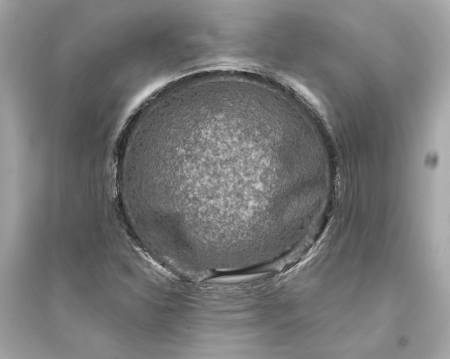 X0000094821310200711301621