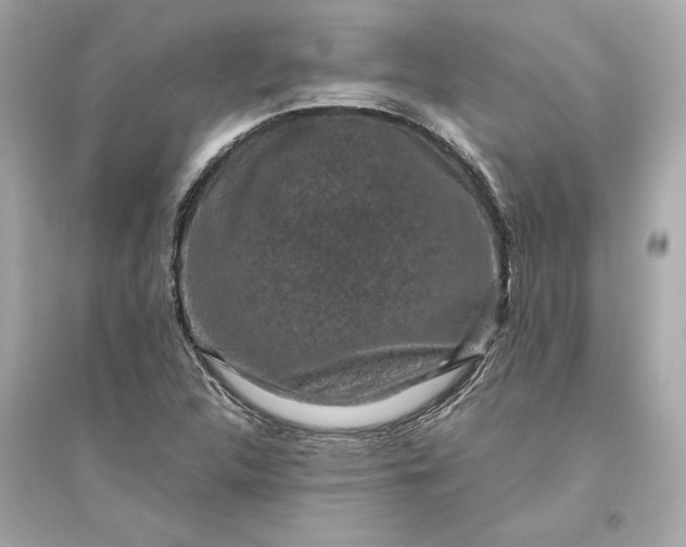 X0000094821312200711301621