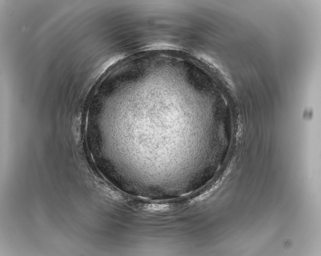 X0000094821313200711301621
