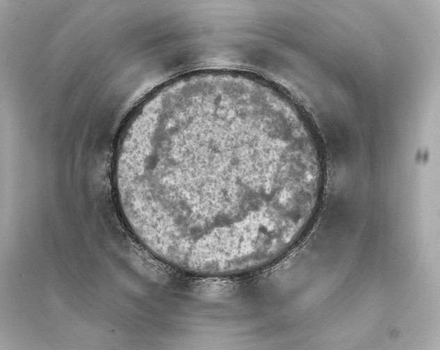 X0000094821314200711301621