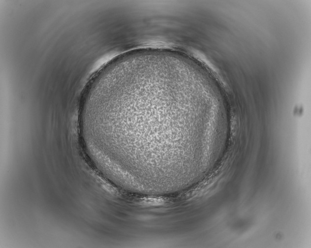 X0000094821315200711301621