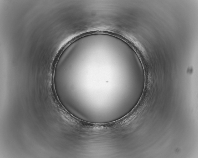 X0000094821316200711301621