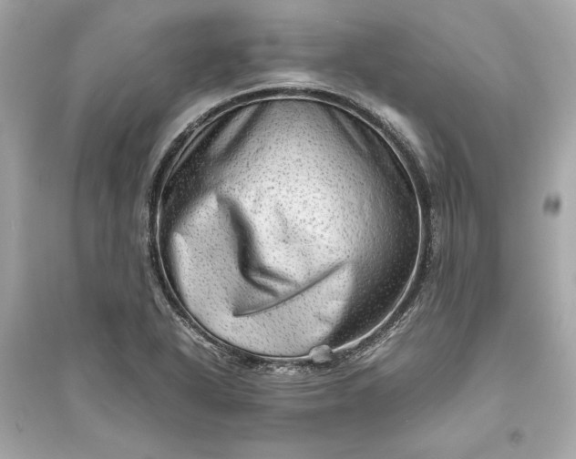 X0000094821318200711301621