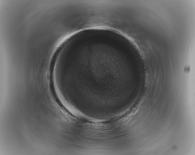 X0000094821319200711301621