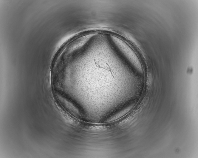 X0000094821320200711301621