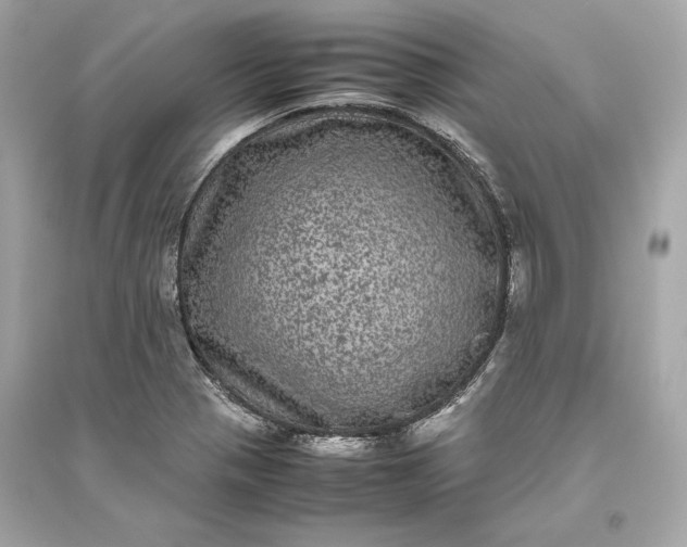 X0000094821321200711301621