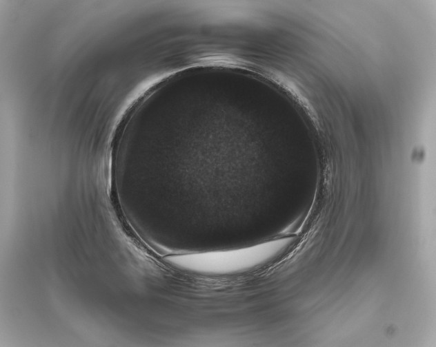 X0000094821323200711301621