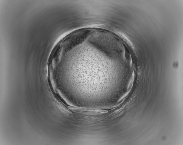 X0000094821324200711301621