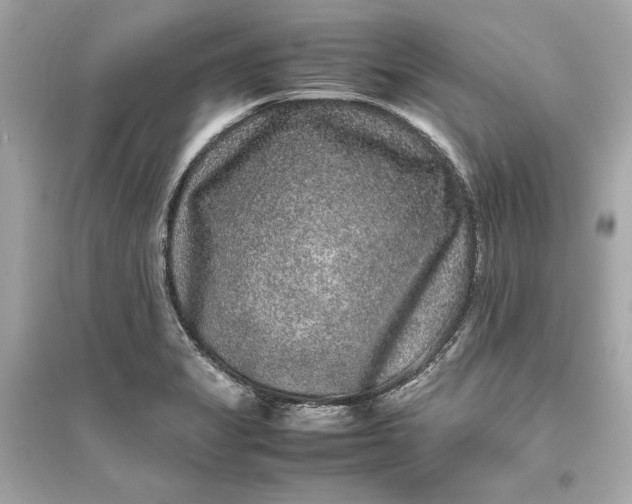 X0000094821325200711301621