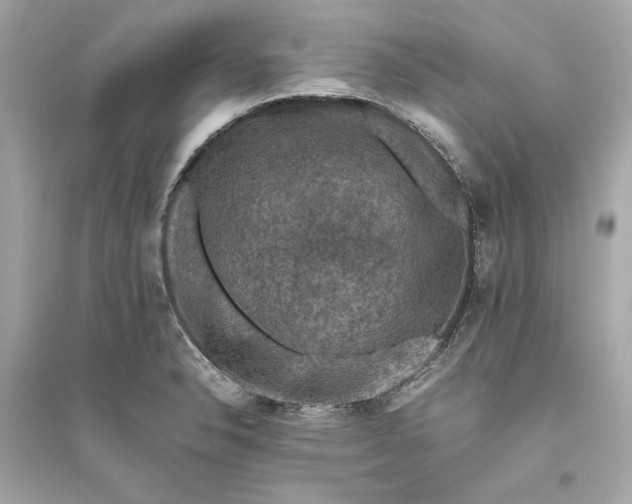 X0000094821326200711301621