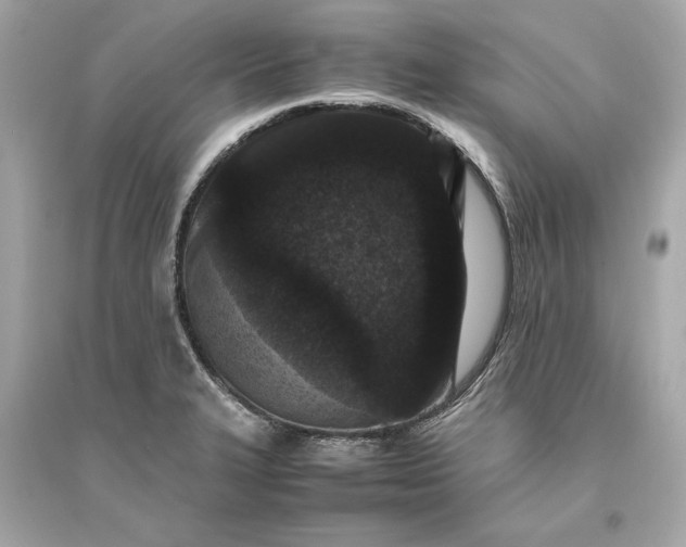 X0000094821327200711301621