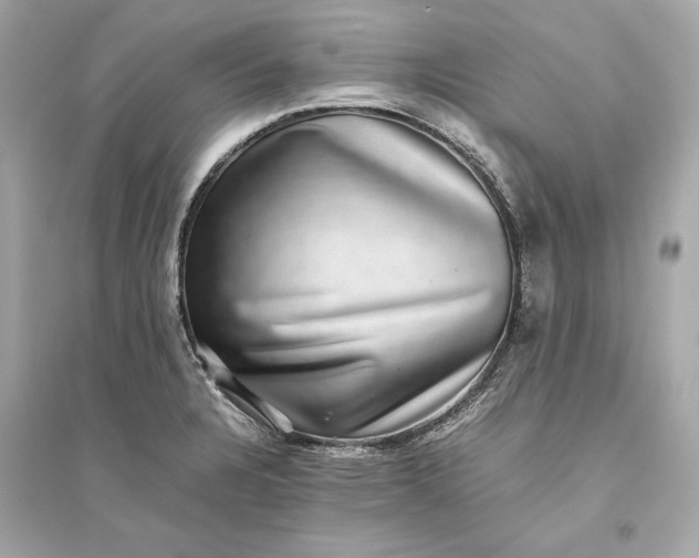 X0000094821328200711301621