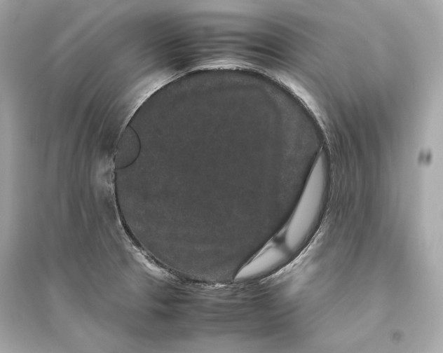 X0000094821329200711301621