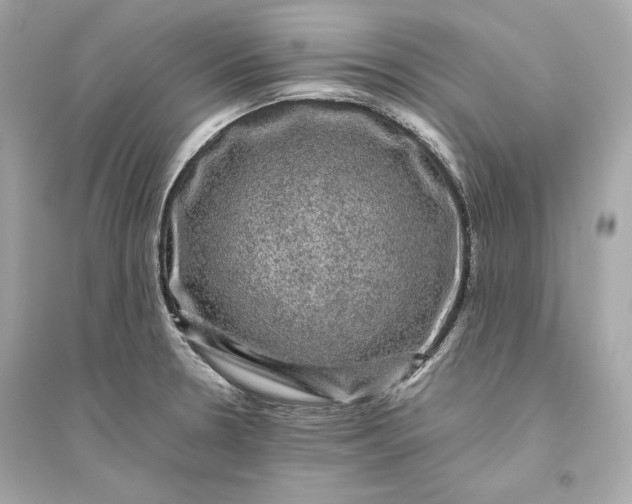 X0000094821330200711301621