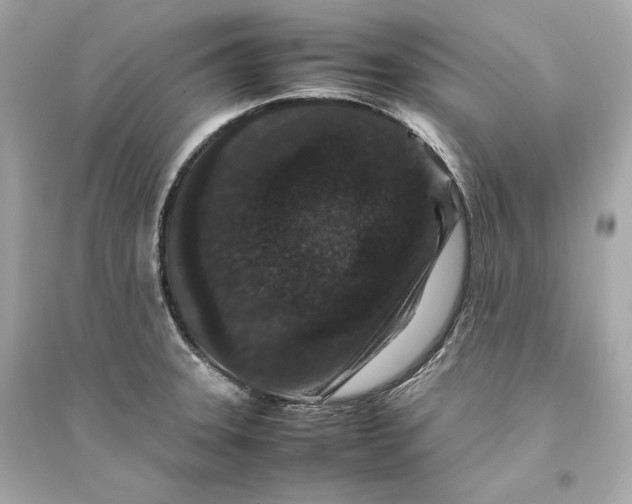 X0000094821331200711301621