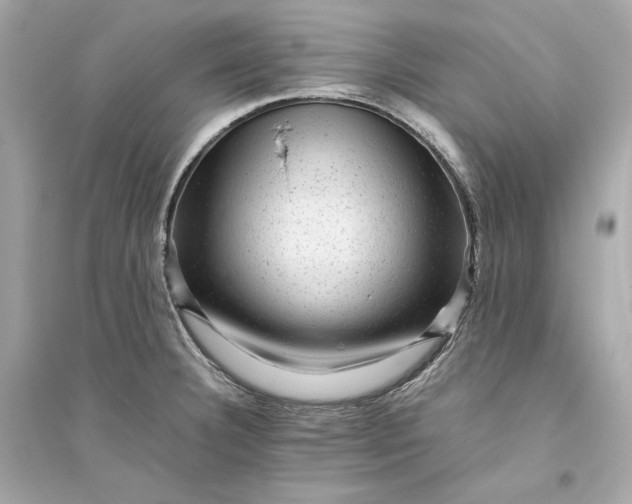 X0000094821332200711301621