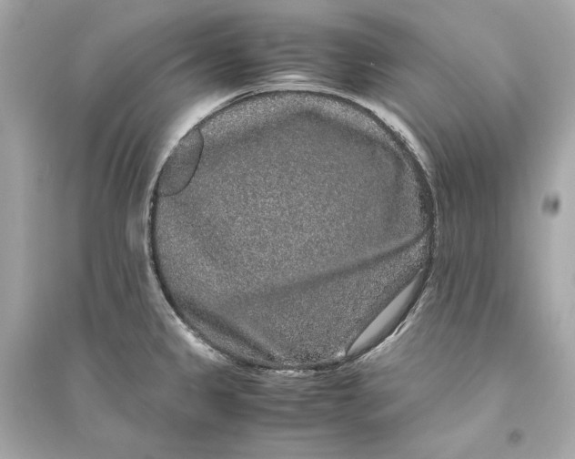 X0000094821333200711301621