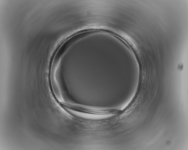 X0000094821334200711301621