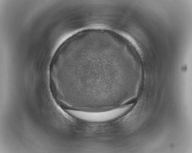 X0000094821335200711301621