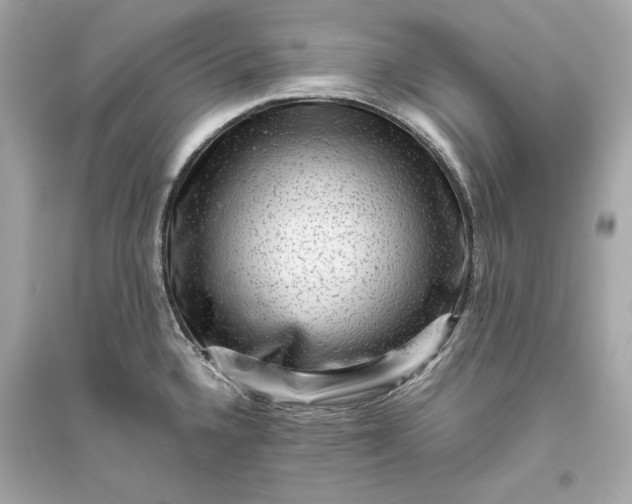 X0000094821336200711301621